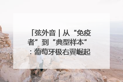 弦外音｜从“免疫者”到“典型样本”：葡萄牙极右翼崛起背后的欧洲困局