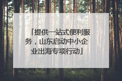 提供一站式便利服务，山东启动中小企业出海专项行动