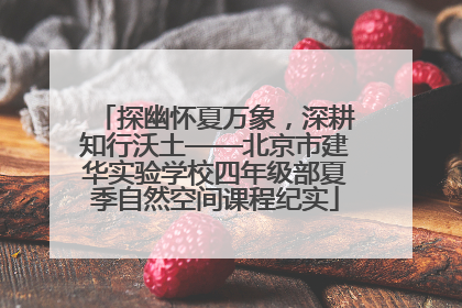 探幽怀夏万象，深耕知行沃土——北京市建华实验学校四年级部夏季自然空间课程纪实