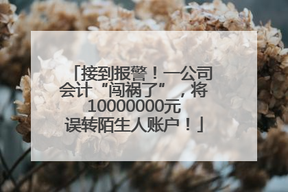 接到报警！一公司会计“闯祸了”，将10000000元误转陌生人账户！