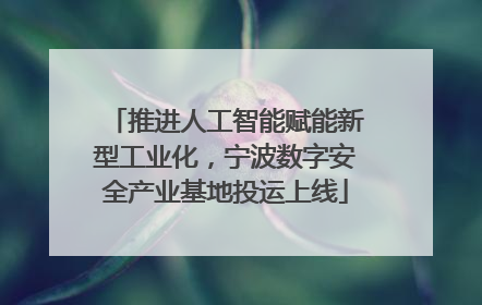推进人工智能赋能新型工业化，宁波数字安全产业基地投运上线