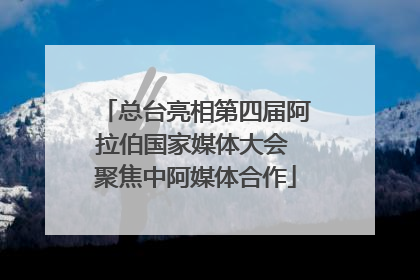 总台亮相第四届阿拉伯国家媒体大会 聚焦中阿媒体合作