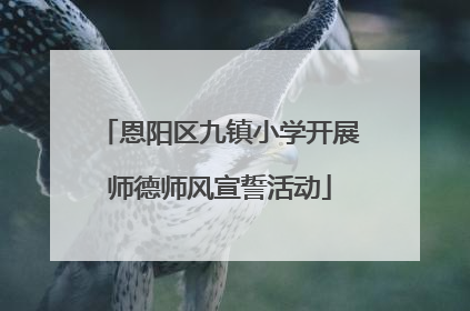 恩阳区九镇小学开展师德师风宣誓活动