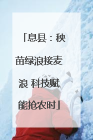 息县：秧苗绿浪接麦浪 科技赋能抢农时