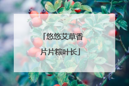 悠悠艾草香 片片粽叶长