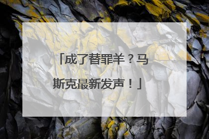 成了替罪羊？马斯克最新发声！