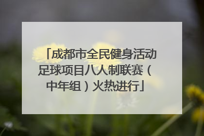 成都市全民健身活动足球项目八人制联赛（中年组）火热进行