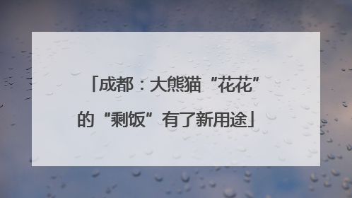 成都：大熊猫“花花”的“剩饭”有了新用途