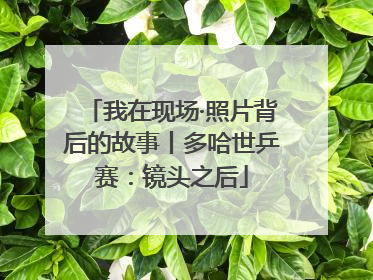 我在现场·照片背后的故事丨多哈世乒赛：镜头之后