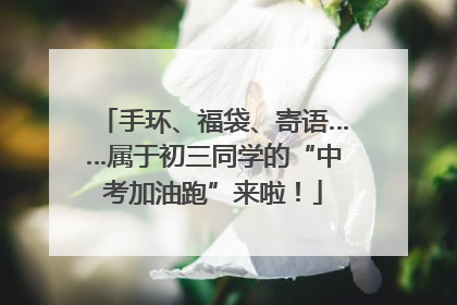 手环、福袋、寄语……属于初三同学的“中考加油跑”来啦！