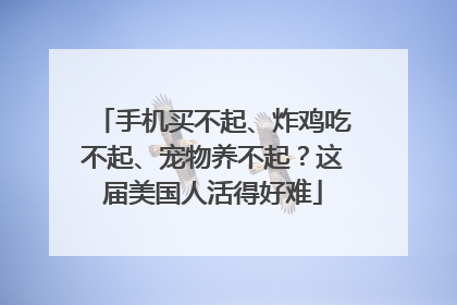手机买不起、炸鸡吃不起、宠物养不起？这届美国人活得好难