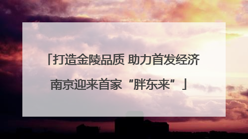 打造金陵品质 助力首发经济 南京迎来首家“胖东来”