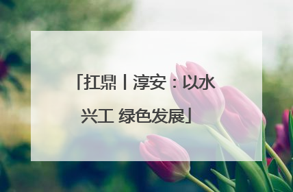 扛鼎丨淳安：以水兴工 绿色发展