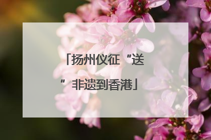 扬州仪征“送”非遗到香港
