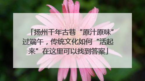 扬州千年古巷“原汁原味”过端午，传统文化如何“活起来”在这里可以找到答案