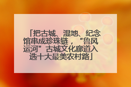 把古城、湿地、纪念馆串成珍珠链，“鲁风运河”古城文化廊道入选十大最美农村路