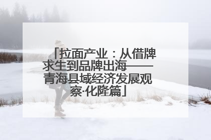 拉面产业：从借牌求生到品牌出海——青海县域经济发展观察·化隆篇