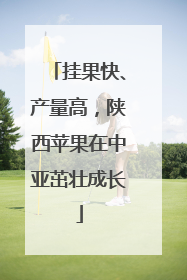 挂果快、产量高，陕西苹果在中亚茁壮成长