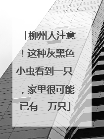柳州人注意！这种灰黑色小虫看到一只，家里很可能已有一万只