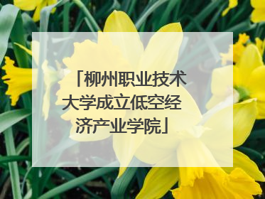 柳州职业技术大学成立低空经济产业学院