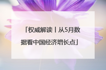 权威解读丨从5月数据看中国经济增长点