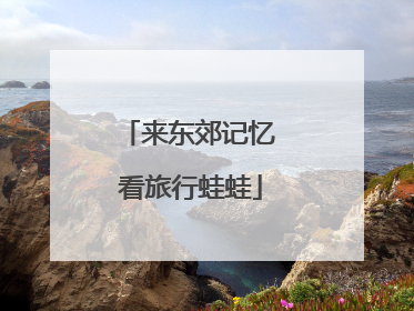 来东郊记忆 看旅行蛙蛙