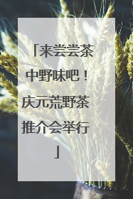 来尝尝茶中野味吧！庆元荒野茶推介会举行