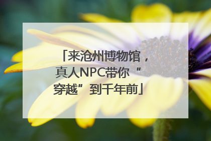 来沧州博物馆，真人NPC带你“穿越”到千年前