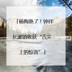 杨梅熟了！钟祥长滩镇收获“舌尖上的惊喜”