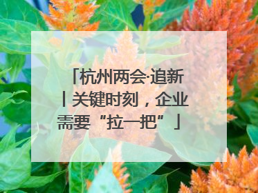 杭州两会·追新丨关键时刻，企业需要“拉一把”