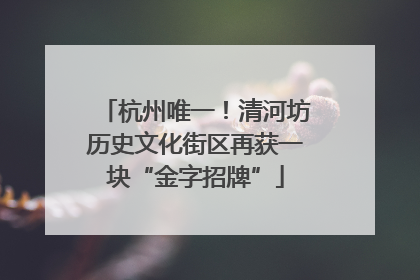 杭州唯一！清河坊历史文化街区再获一块“金字招牌”
