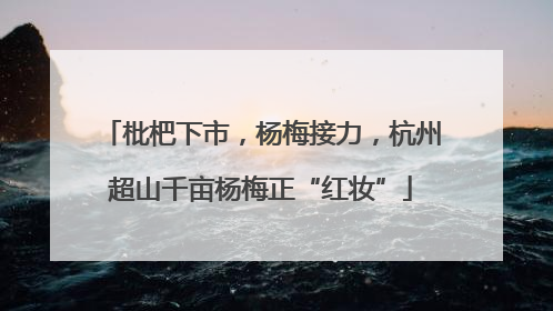 枇杷下市，杨梅接力，杭州超山千亩杨梅正“红妆”