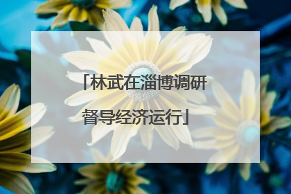 林武在淄博调研督导经济运行