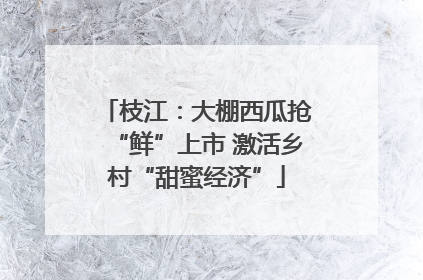 枝江：大棚西瓜抢“鲜”上市 激活乡村“甜蜜经济”