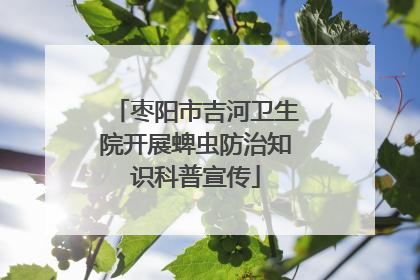枣阳市吉河卫生院开展蜱虫防治知识科普宣传