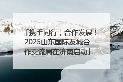 携手同行，合作发展！2025山东国际友城合作交流周在济南启动