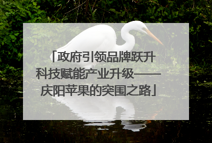 政府引领品牌跃升 科技赋能产业升级——庆阳苹果的突围之路