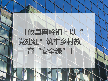 攸县网岭镇：以“党建红”筑牢乡村教育“安全绿”