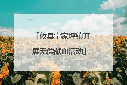 攸县宁家坪镇开展无偿献血活动