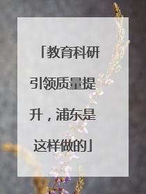 教育科研引领质量提升，浦东是这样做的