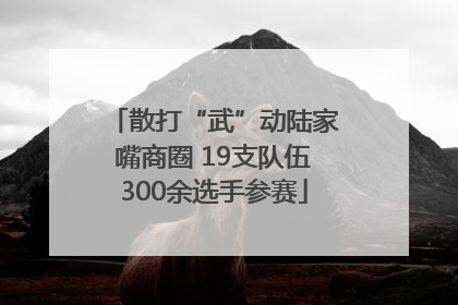 散打“武”动陆家嘴商圈 19支队伍300余选手参赛