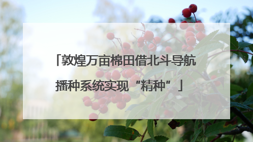 敦煌万亩棉田借北斗导航播种系统实现“精种”