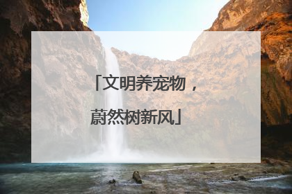 文明养宠物，蔚然树新风