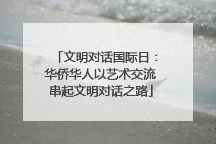 文明对话国际日：华侨华人以艺术交流串起文明对话之路