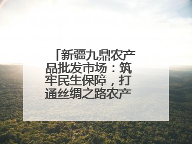 新疆九鼎农产品批发市场：筑牢民生保障，打通丝绸之路农产品贸易枢纽