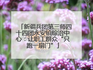 新疆兵团第三师四十四团永安镇综治中心：让职工群众“只跑一扇门”