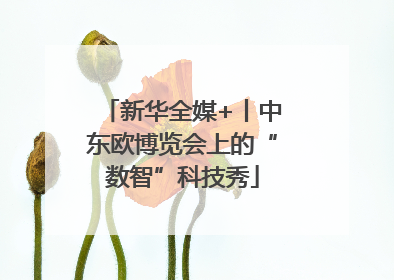 新华全媒+丨中东欧博览会上的“数智”科技秀
