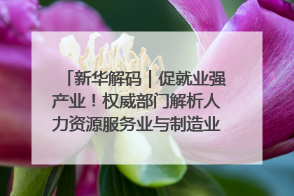 新华解码｜促就业强产业！权威部门解析人力资源服务业与制造业融合发展试点