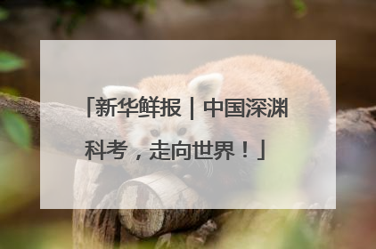 新华鲜报｜中国深渊科考，走向世界！