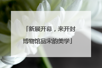 新展开幕，来开封博物馆品宋韵美学